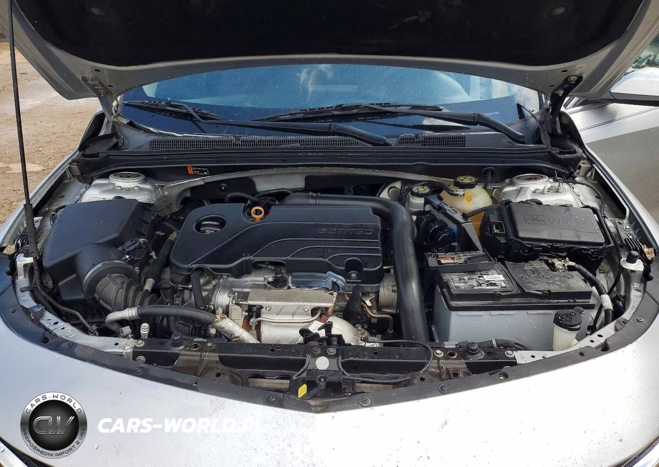 2019 Chevrolet Malibu Lt VIN:1G1ZD5STXKF157334 - 11