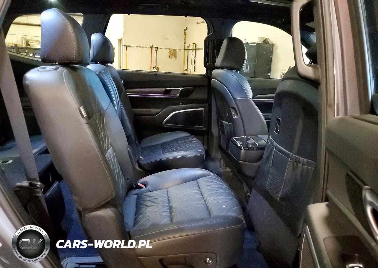 2024 Kia Telluride Sx X-Pro VIN:5XYP5DGC9RG413811 - 11