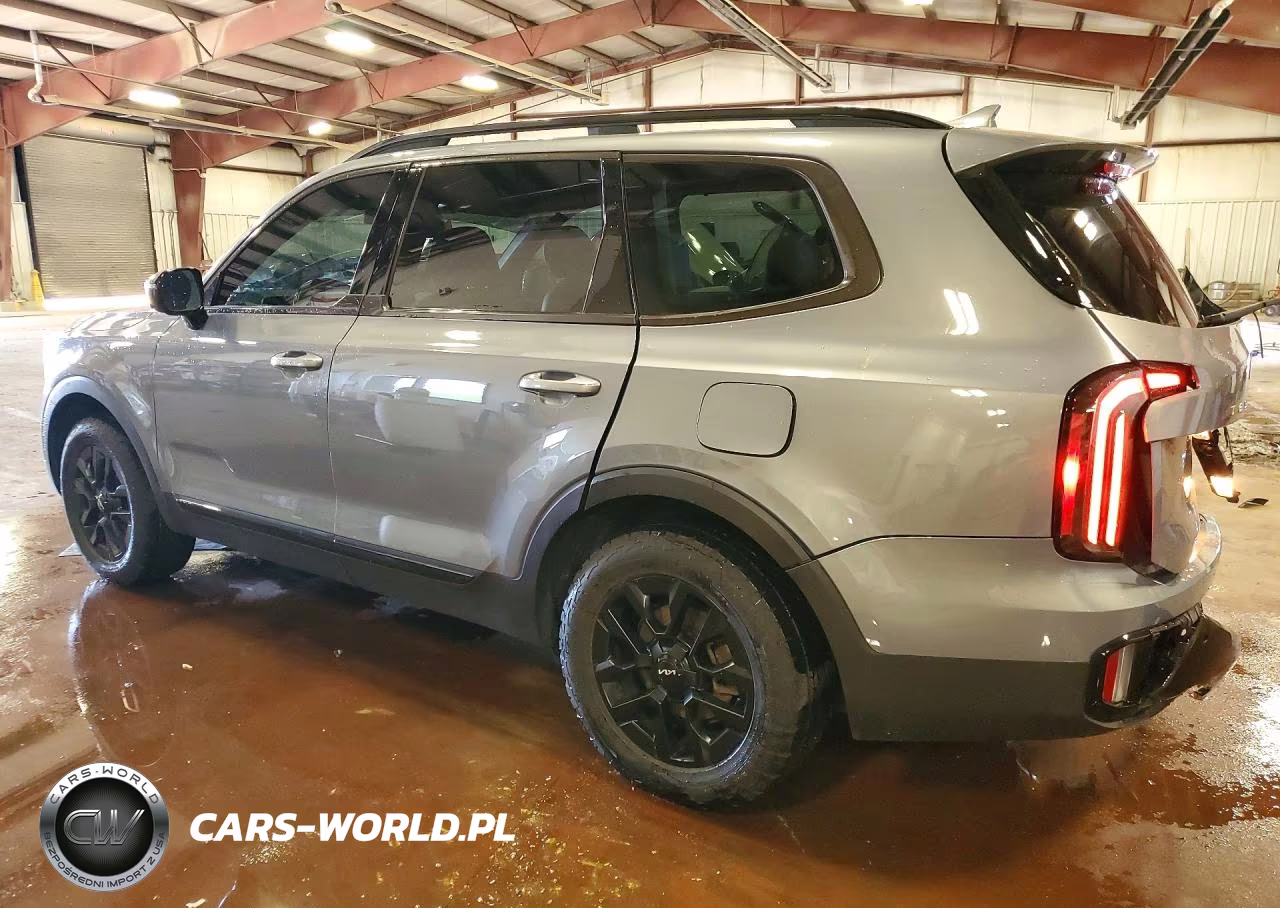2024 Kia Telluride Sx X-Pro VIN:5XYP5DGC9RG413811 - 2