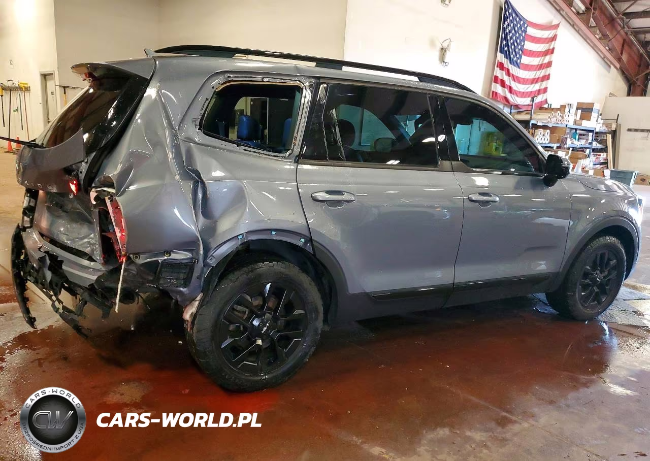 2024 Kia Telluride Sx X-Pro VIN:5XYP5DGC9RG413811 - 3