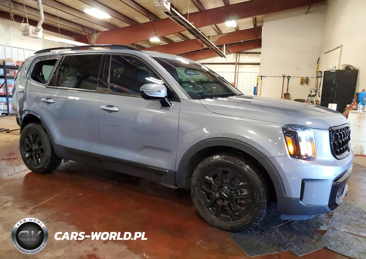 2024 Kia Telluride Sx X-Pro VIN:5XYP5DGC9RG413811 - 4