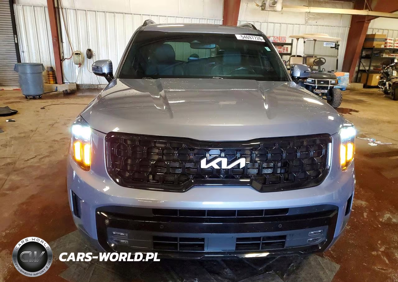 2024 Kia Telluride Sx X-Pro VIN:5XYP5DGC9RG413811 - 5