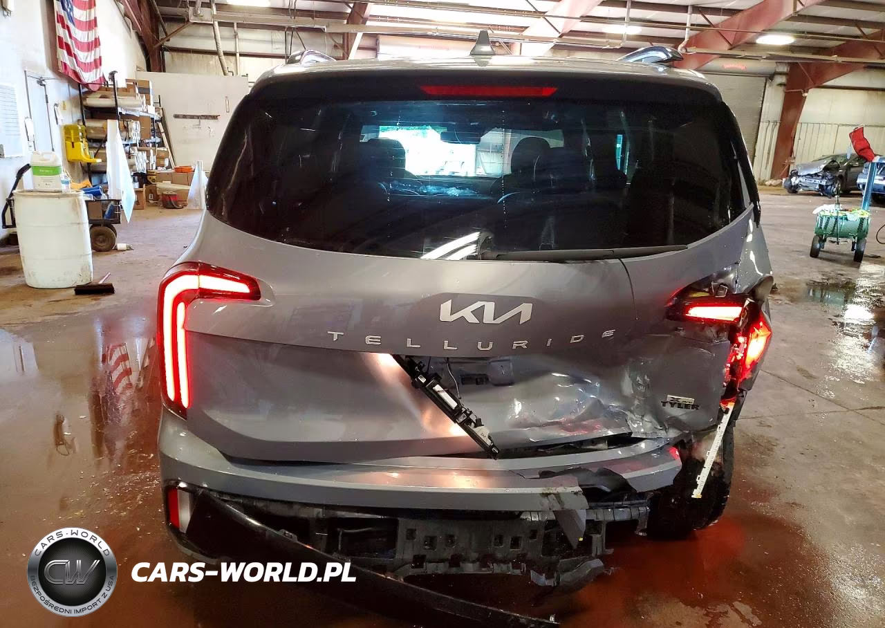 2024 Kia Telluride Sx X-Pro VIN:5XYP5DGC9RG413811 - 6