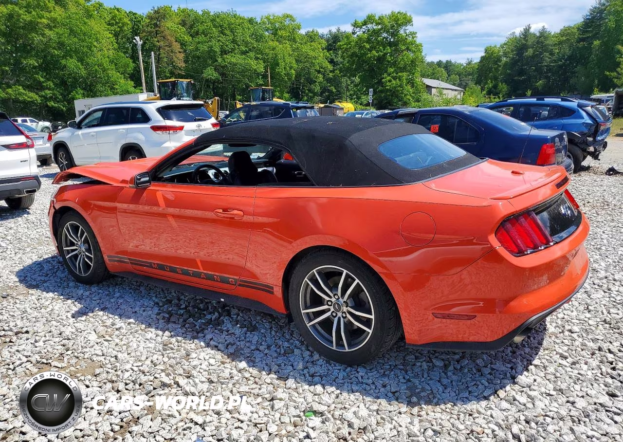 2016 Ford Mustang VIN:1FATP8UH0G5292193 - 2