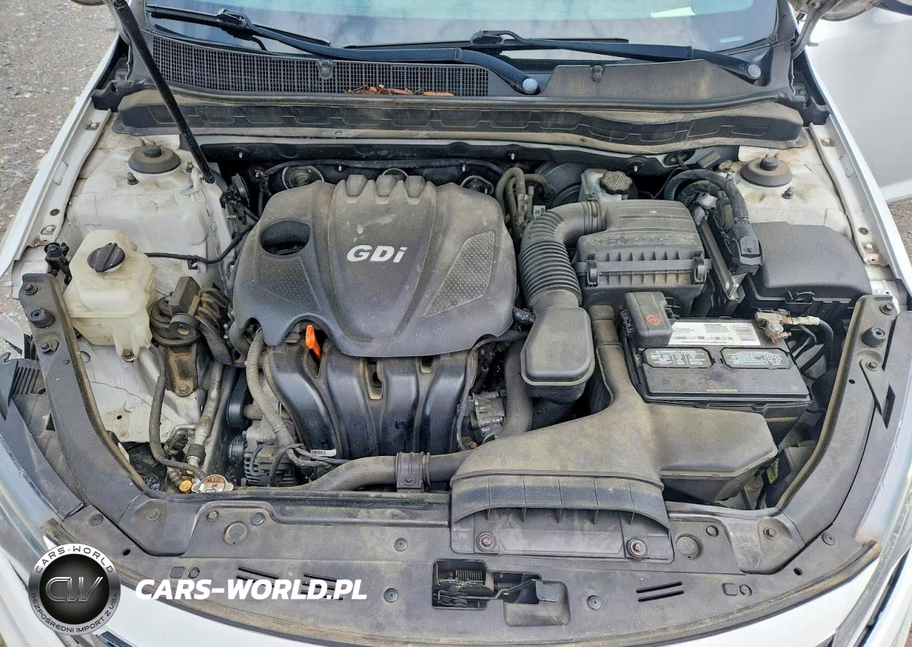 2013 Kia Olx VIN:5XXGM4A74DG224060 - 11
