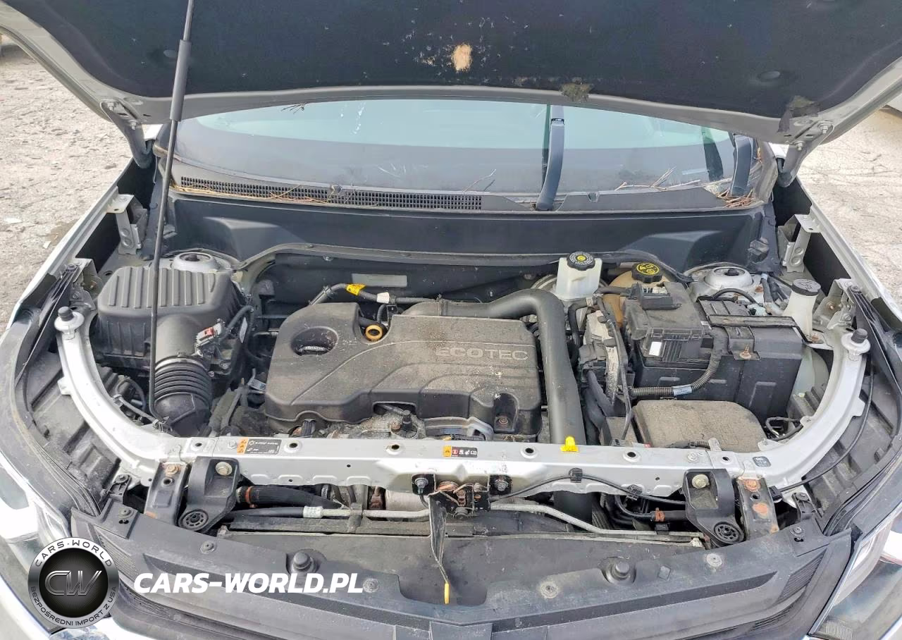 2019 Chevrolet Equinox Lt VIN:2GNAXUEV4K6137021 - 12