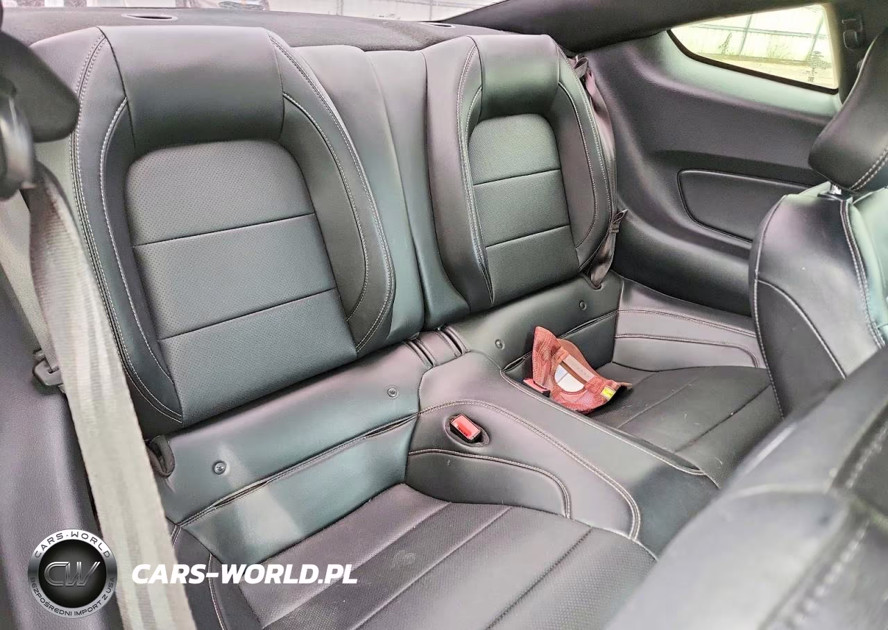 2019 Ford Mustang Gt VIN:1FA6P8CFXK5117021 - 10