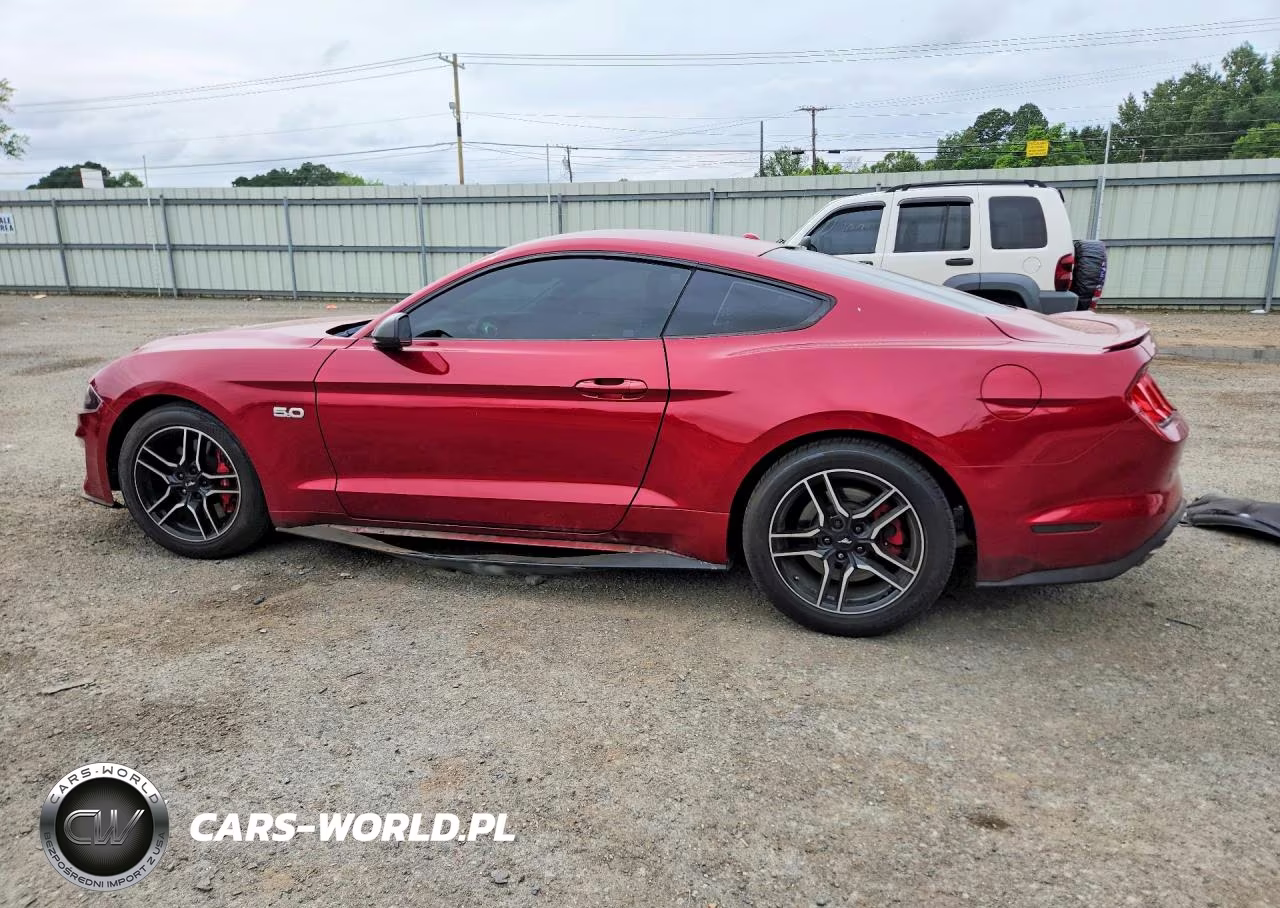 2019 Ford Mustang Gt VIN:1FA6P8CFXK5117021 - 2