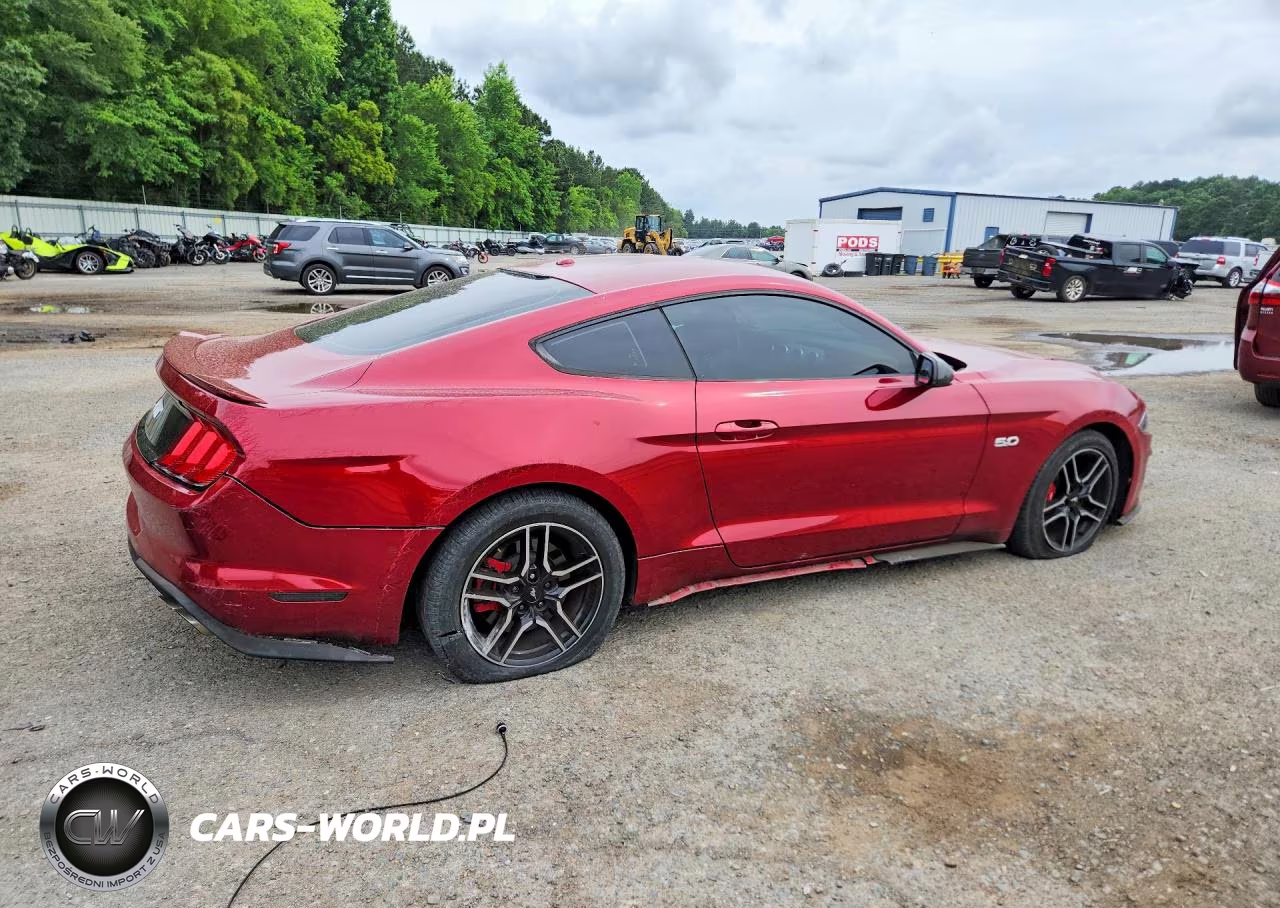 2019 Ford Mustang Gt VIN:1FA6P8CFXK5117021 - 3