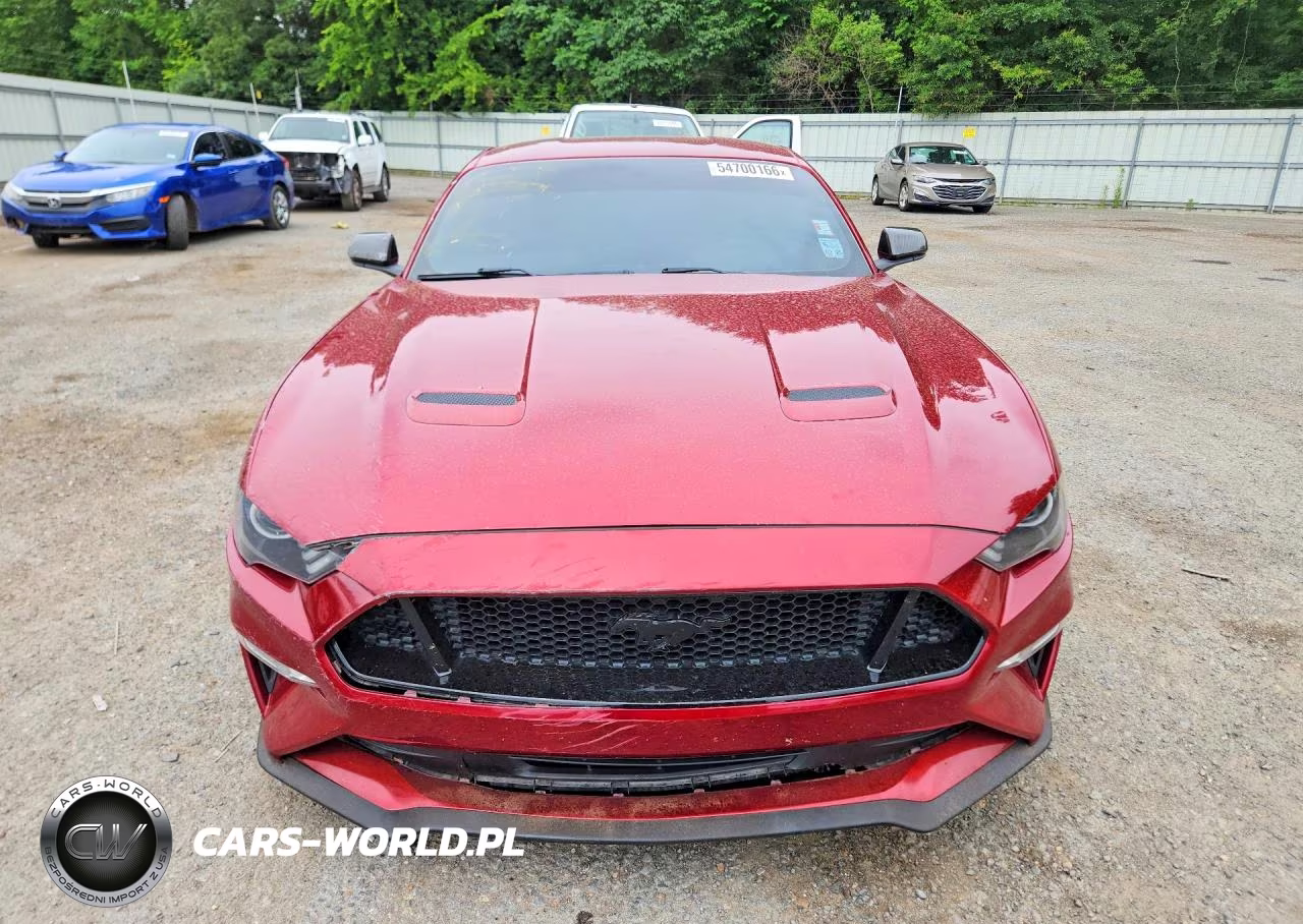 2019 Ford Mustang Gt VIN:1FA6P8CFXK5117021 - 5