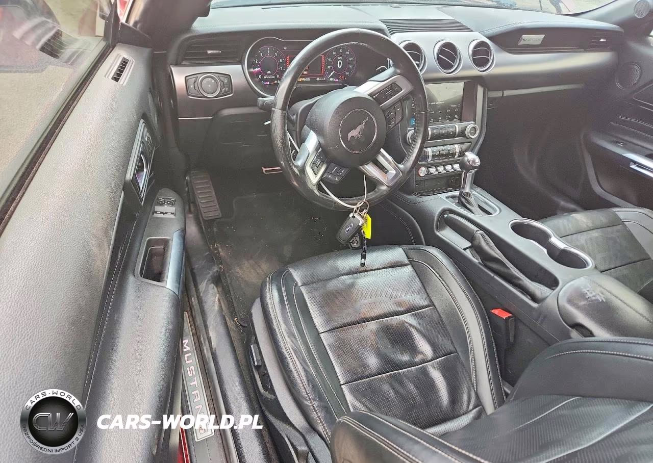 2019 Ford Mustang Gt VIN:1FA6P8CFXK5117021 - 8