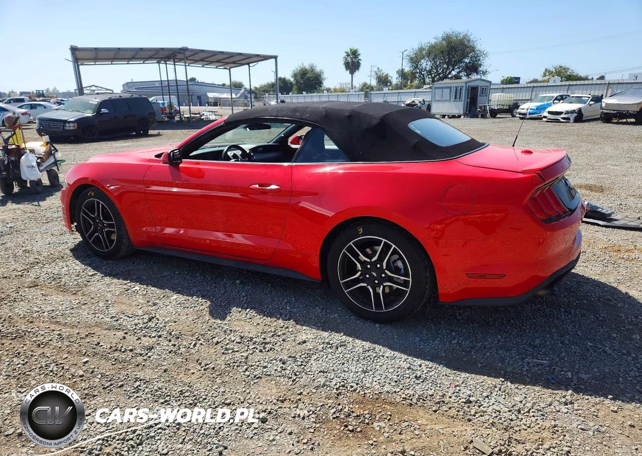 2021 Ford Mustang VIN:1FATP8UH2M5124650 - 2