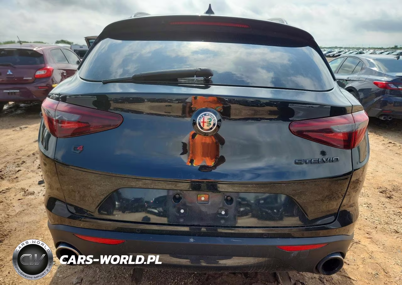 2021 Alfa Romeo Stelvio Sport VIN:ZASPAKAN0M7D00563 - 6