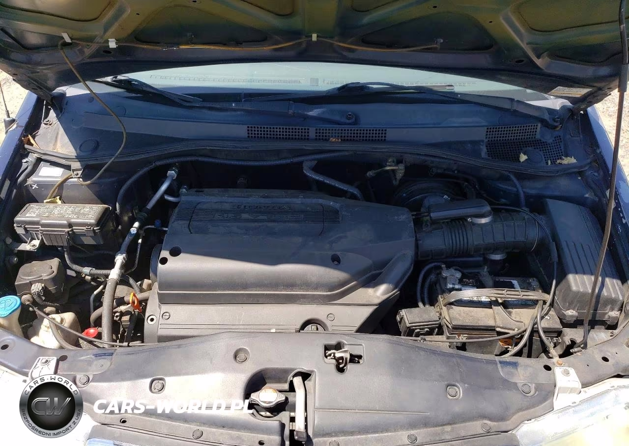 2004 Honda Odyssey Ex VIN:5FNRL18664B055511 - 12
