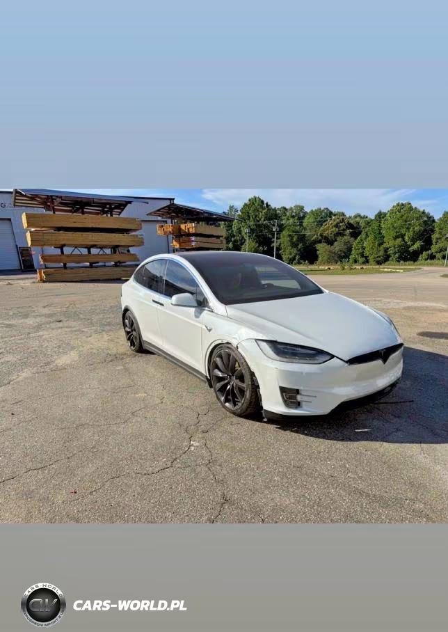2018 Tesla Model X