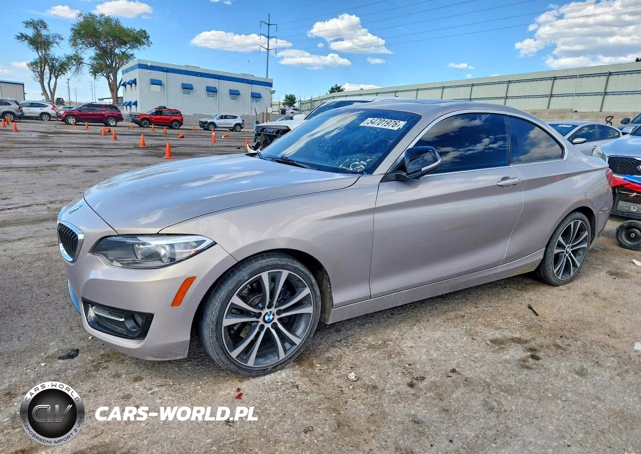 2015 BMW 228 I