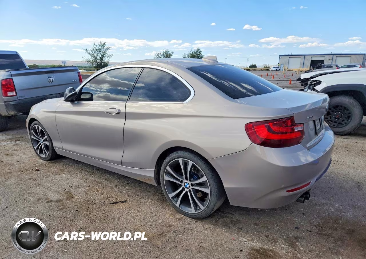 2015 BMW 228 I VIN:WBA1F5C52FV256818 - 2
