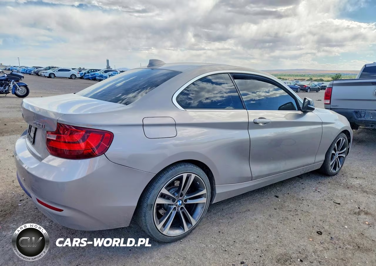 2015 BMW 228 I VIN:WBA1F5C52FV256818 - 3