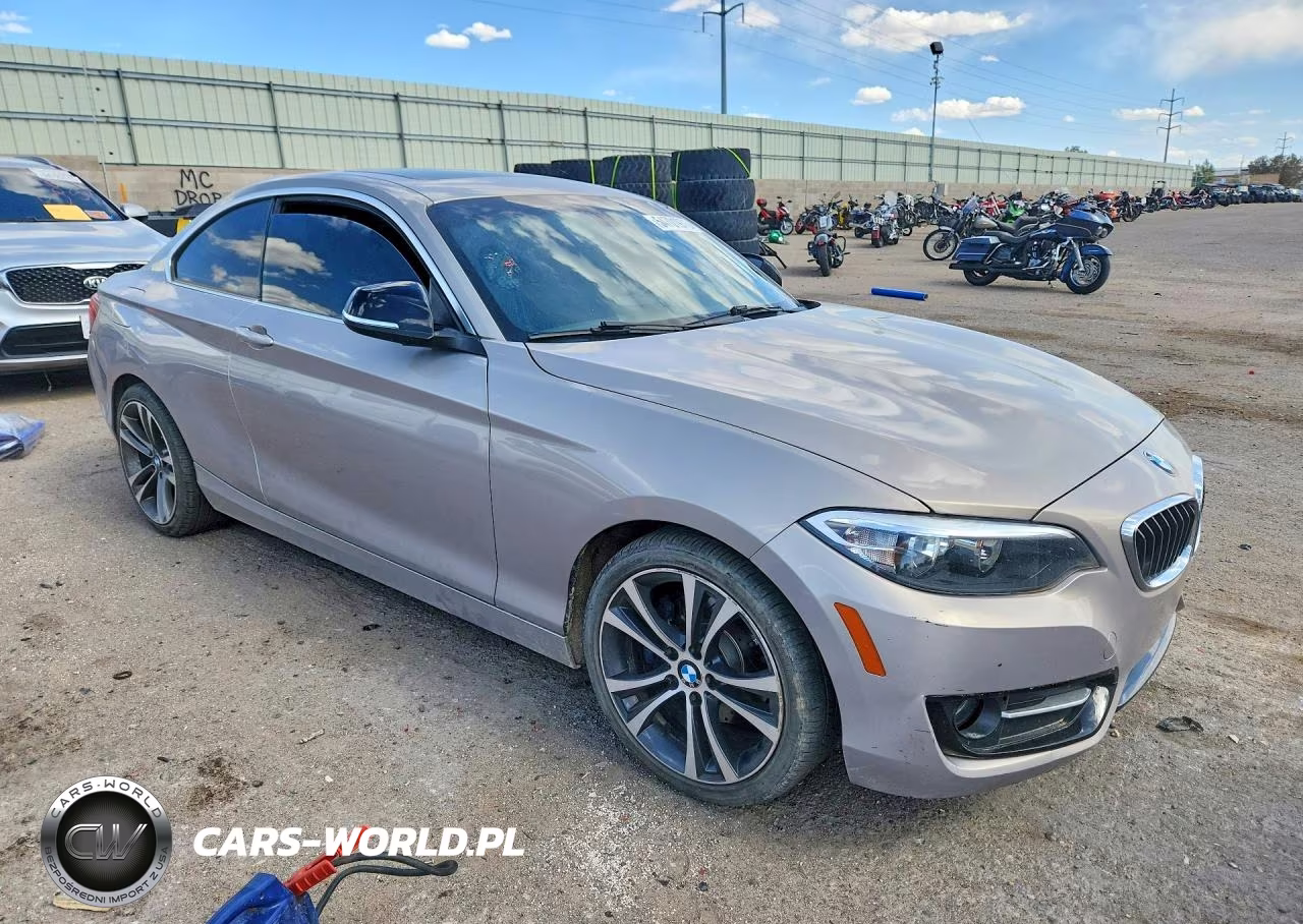 2015 BMW 228 I VIN:WBA1F5C52FV256818 - 4