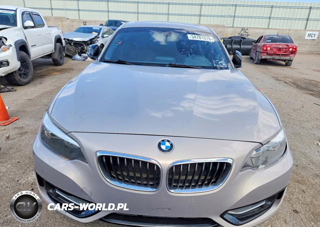2015 BMW 228 I VIN:WBA1F5C52FV256818 - 5