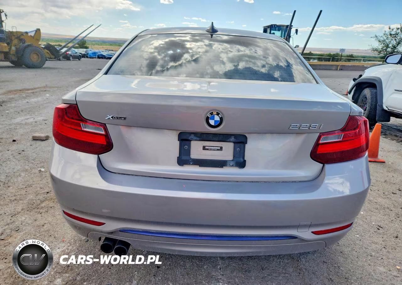 2015 BMW 228 I VIN:WBA1F5C52FV256818 - 6