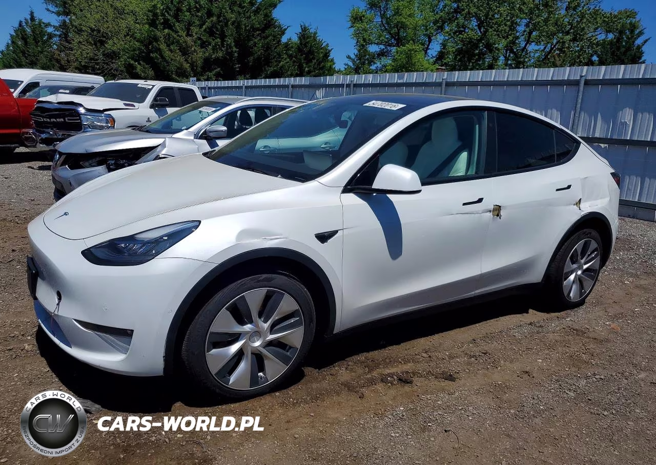 2021 Tesla Model Y