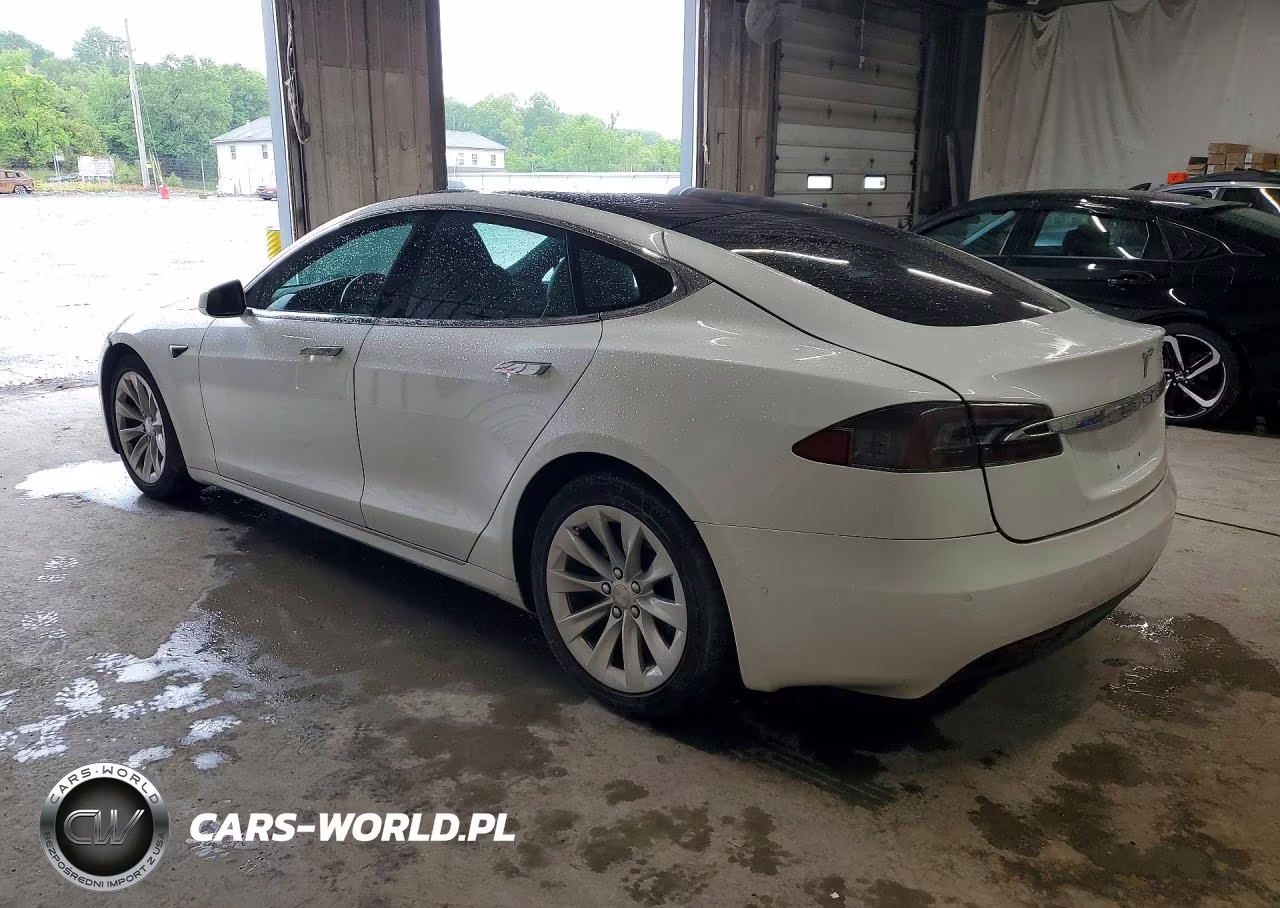 2020 Tesla Model S VIN:5YJSA1E26LF366296 - 2