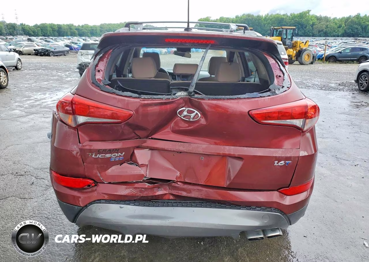 2016 Hyundai Tucson Eco VIN:KM8J33A24GU195533 - 6