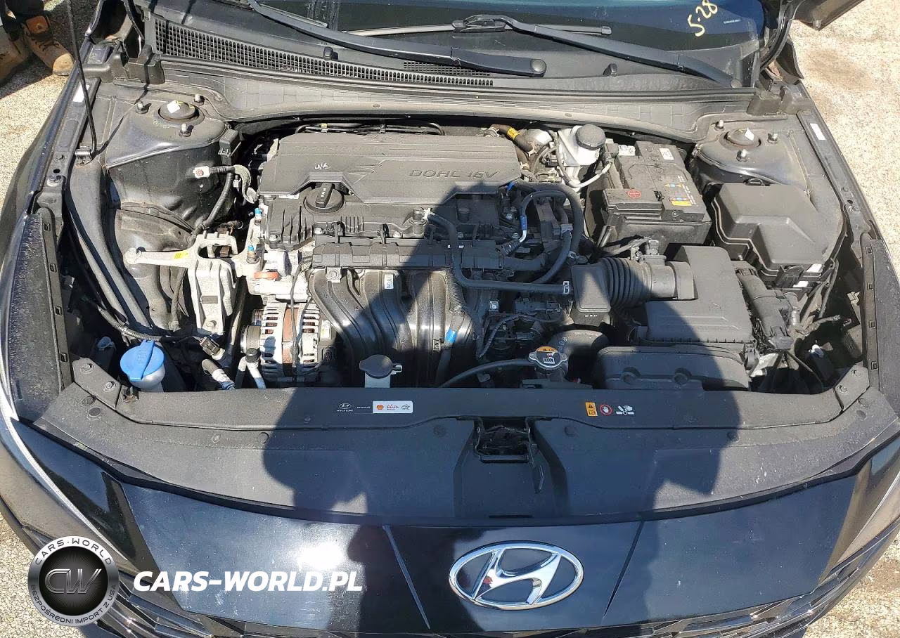 2023 Hyundai Elantra Limited VIN:KMHLP4AG0PU405981 - 11