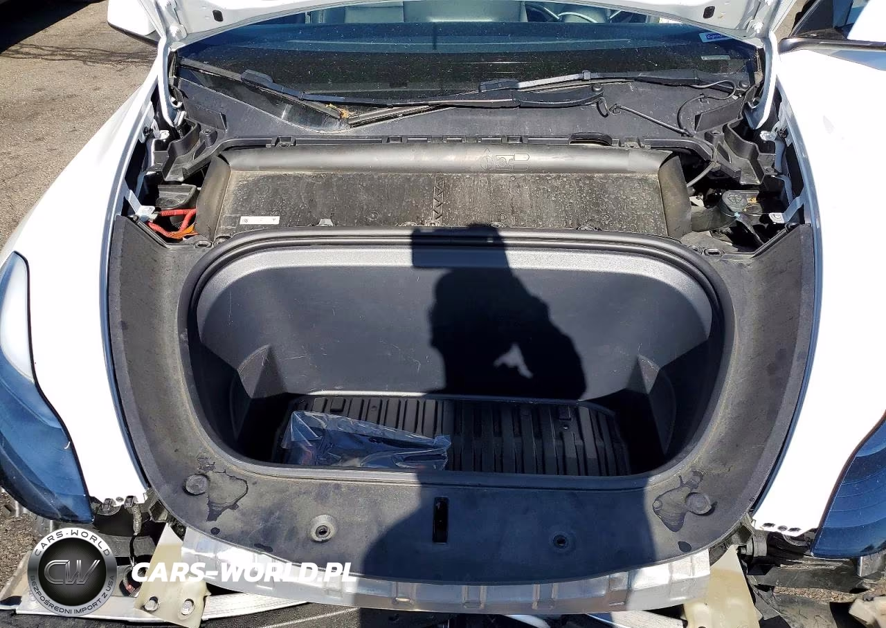 2023 Tesla Model Y VIN:7SAYGDEE9PF840139 - 11