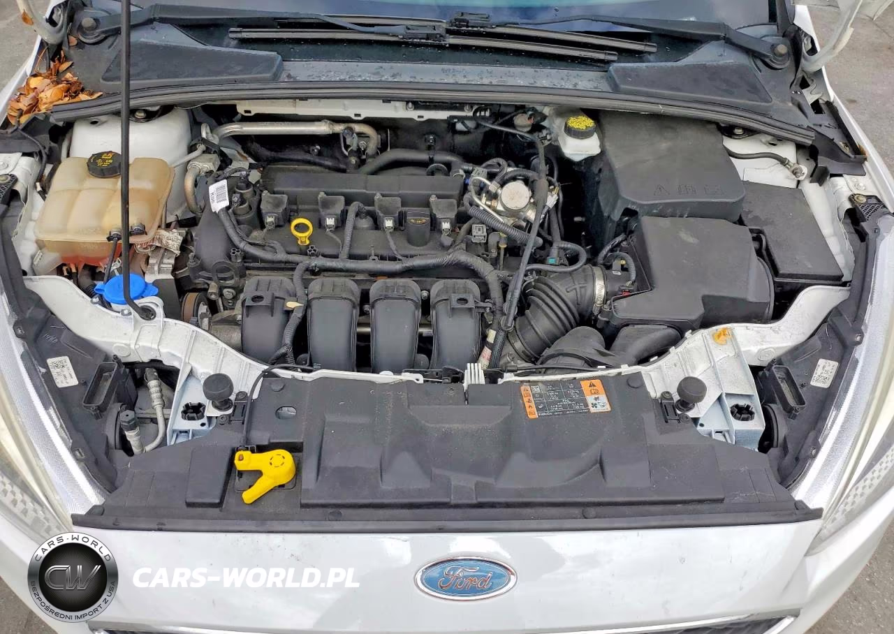 2018 Ford Focus Se VIN:1FADP3K20JL218006 - 11
