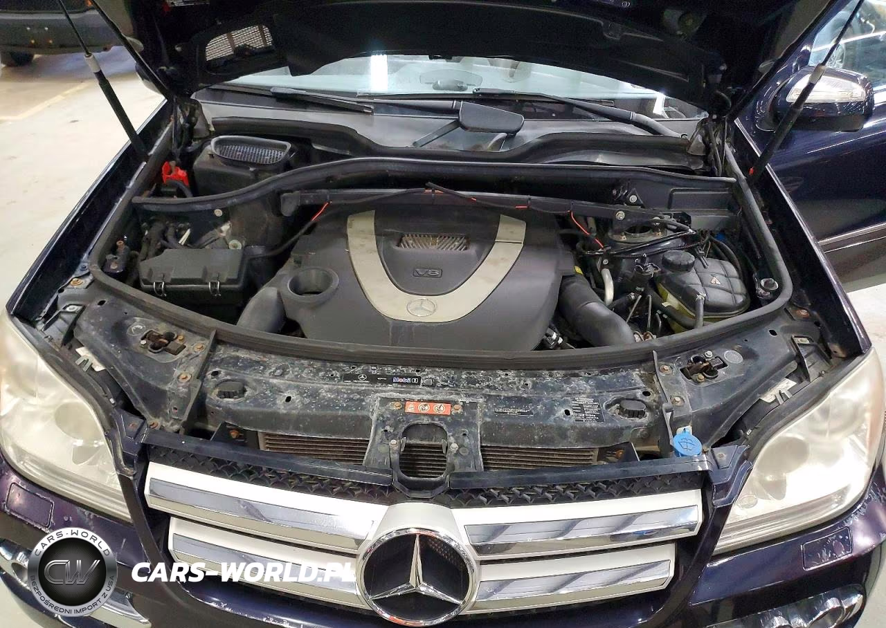 2010 Mercedes-Benz Gl 450 4Matic VIN:4JGBF7BE3AA550020 - 12