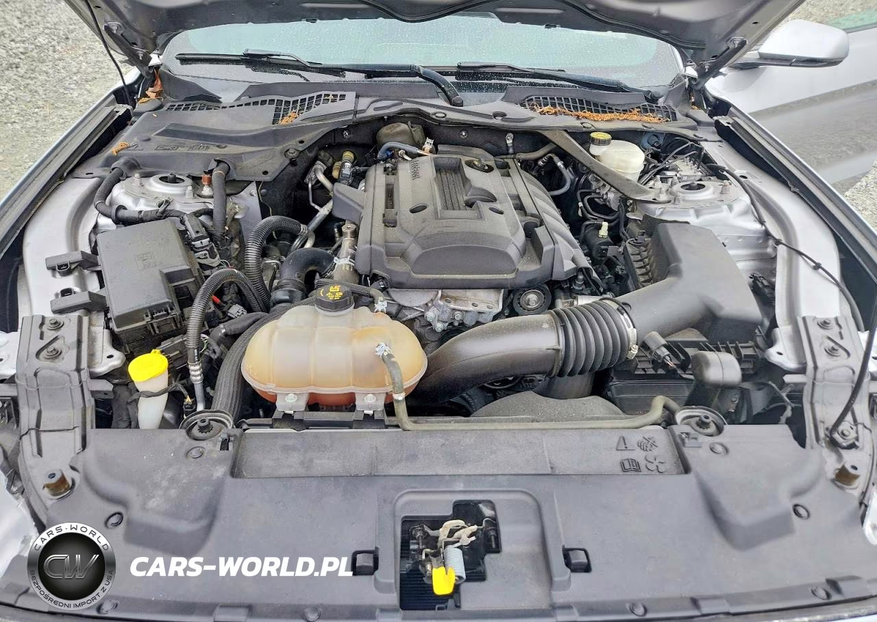 2020 Ford Mustang VIN:1FATP8UHXL5106136 - 11