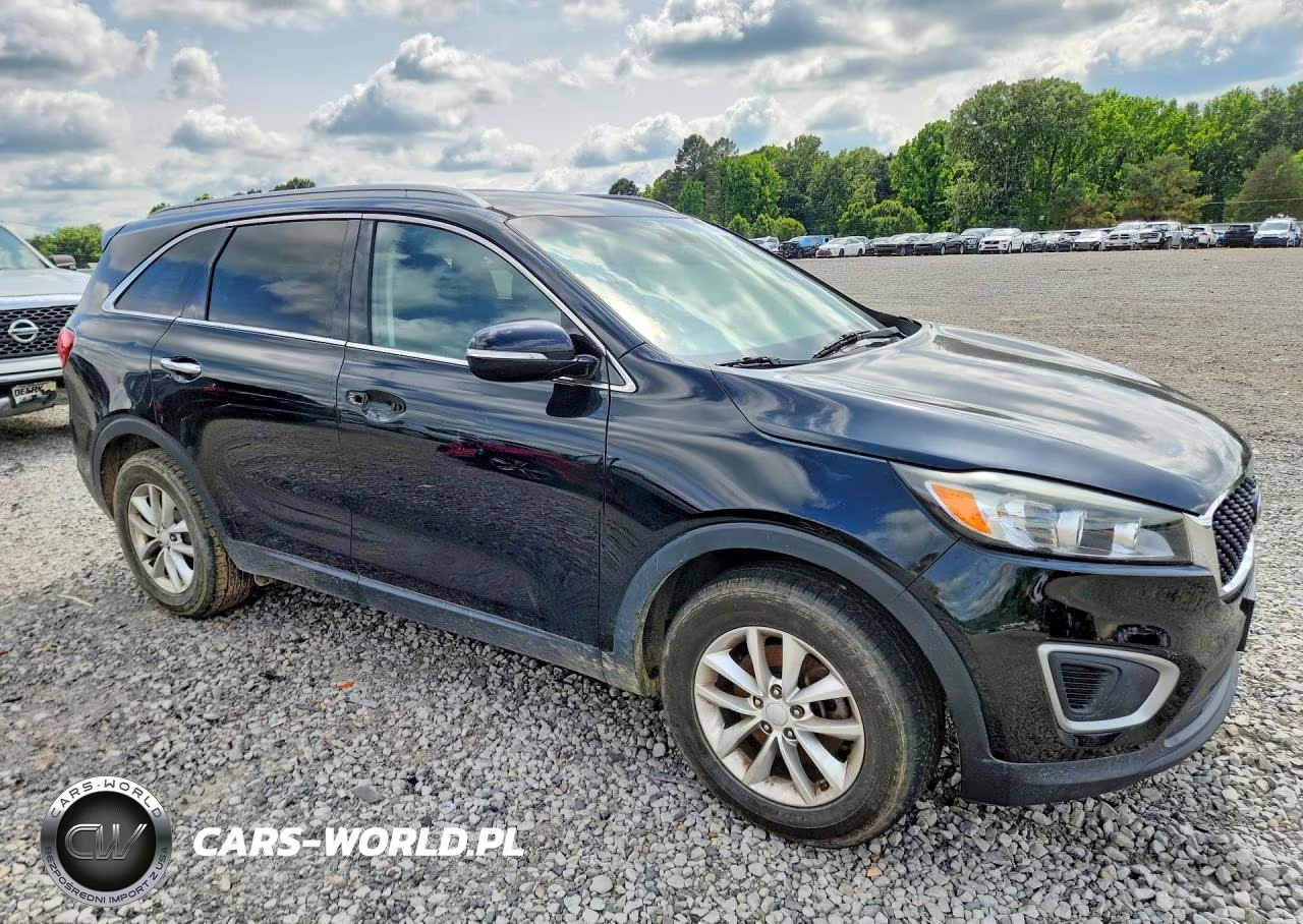 2016 Kia Sorento Lx VIN:5XYPG4A39GG058896 - 4