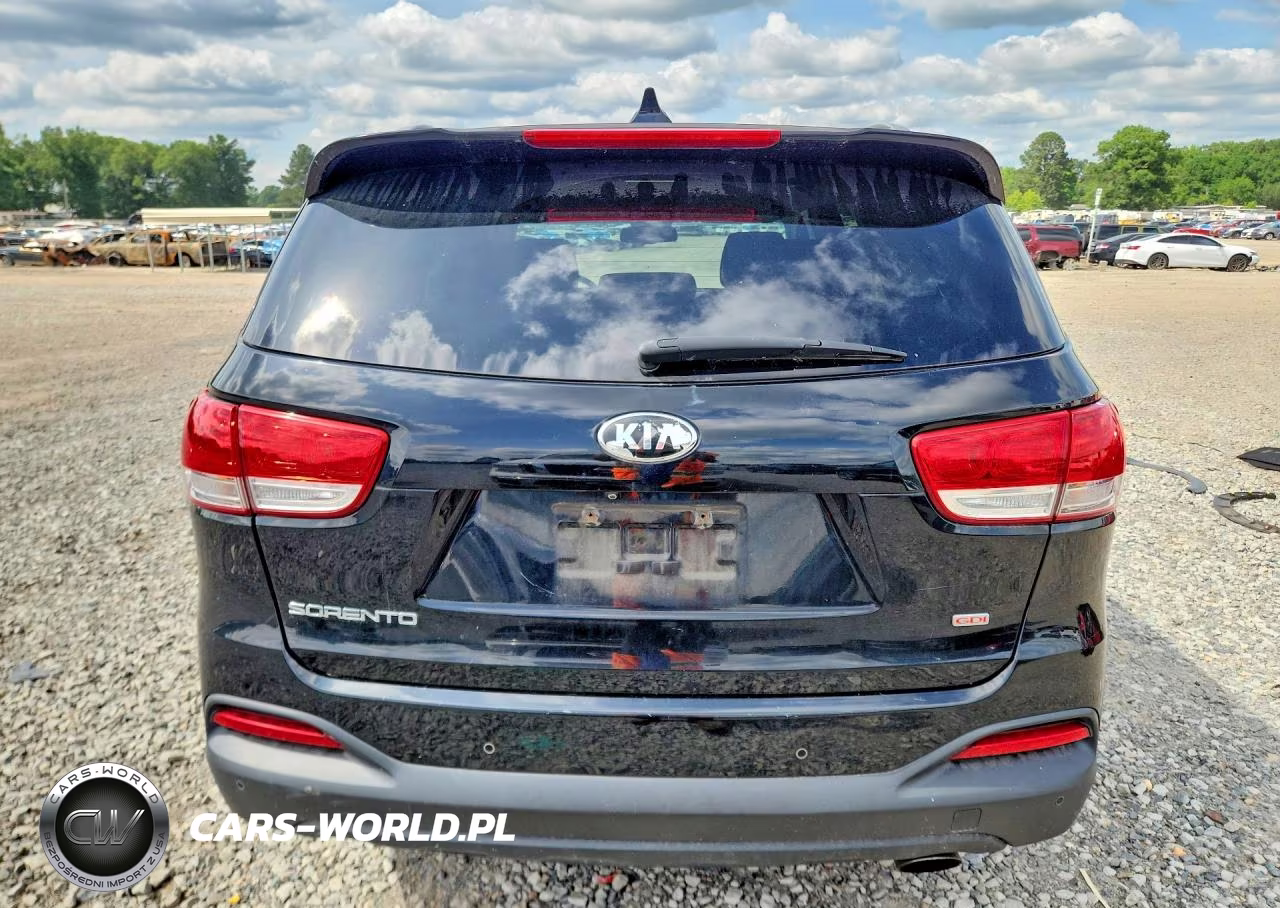 2016 Kia Sorento Lx VIN:5XYPG4A39GG058896 - 6