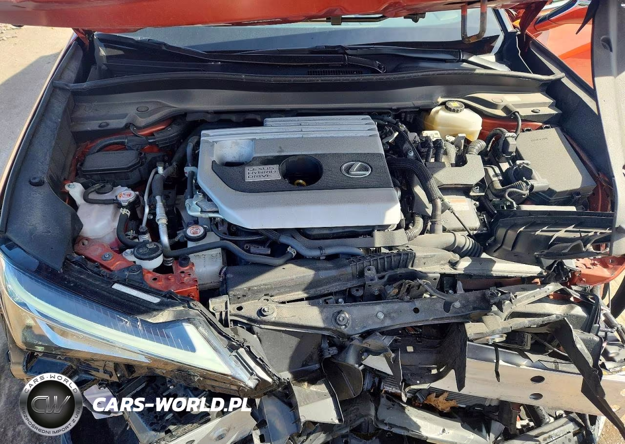 2021 Lexus Ux 250H VIN:JTHP9JBH7M2051369 - 11