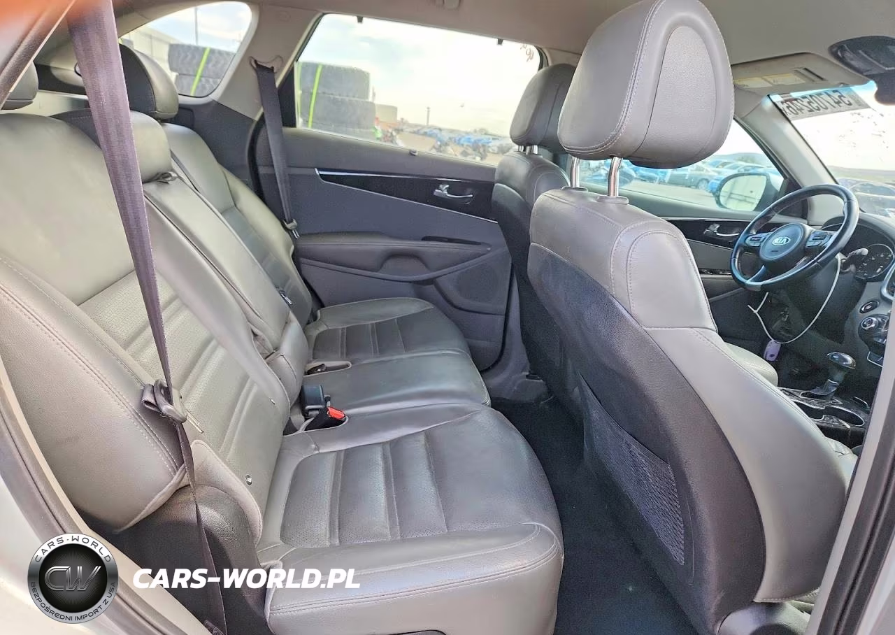 2016 Kia Sorento Ex VIN:5XYPH4A13GG027610 - 10