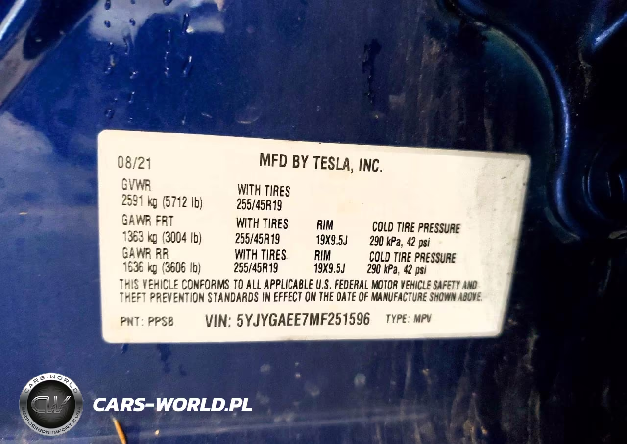 2021 Tesla Model Y VIN:5YJYGAEE7MF251596 - 12