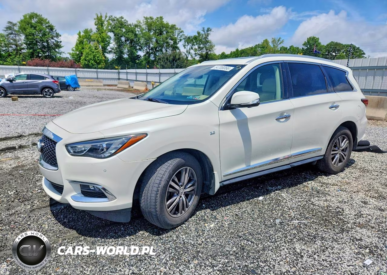 2020 Infiniti Qx60 Luxe Awd VIN:5N1DL0MM3LC522142 - 1