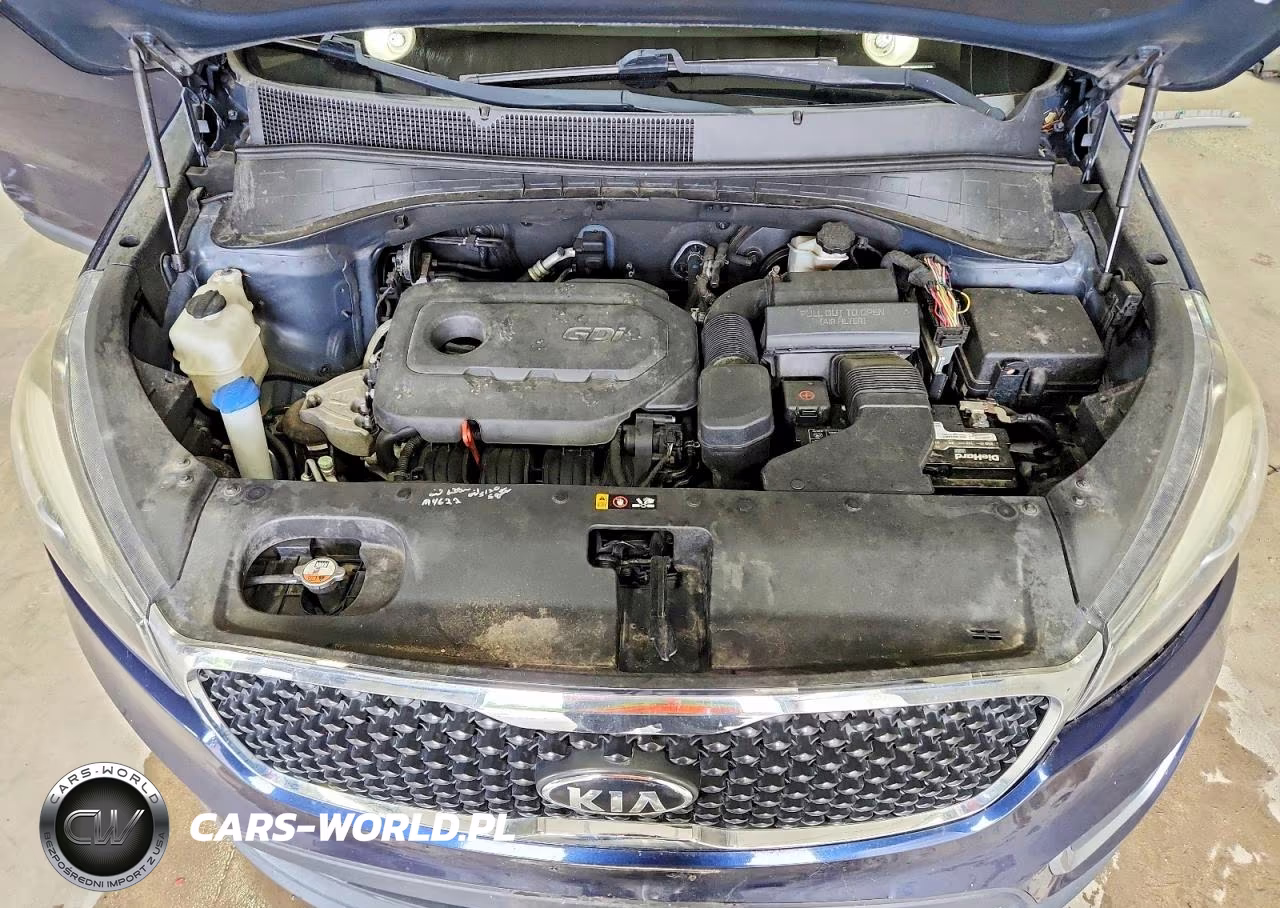 2016 Kia Sorento Lx VIN:5XYPG4A32GG182959 - 12