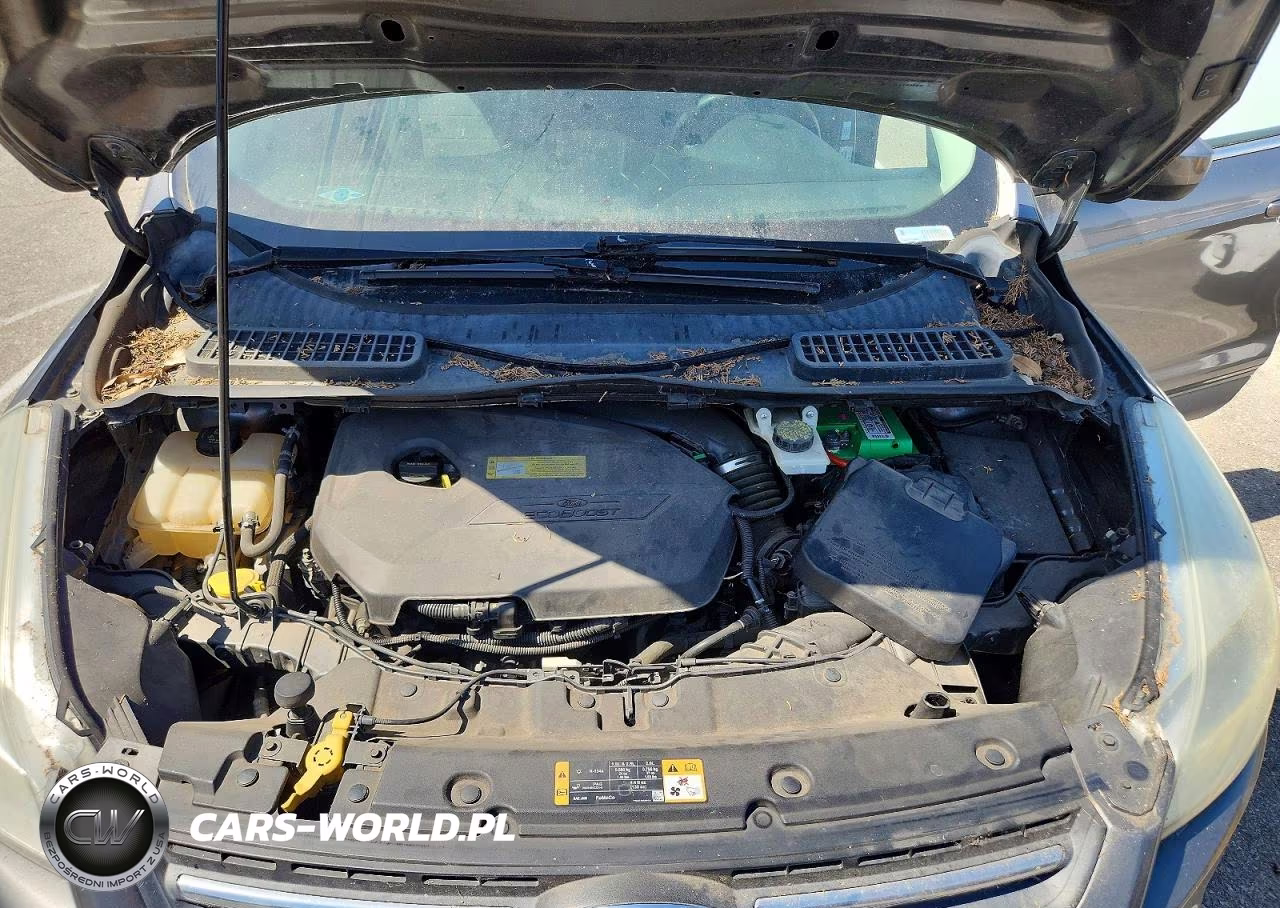 2014 Ford Escape Se VIN:1FMCU0GX2EUD03118 - 12