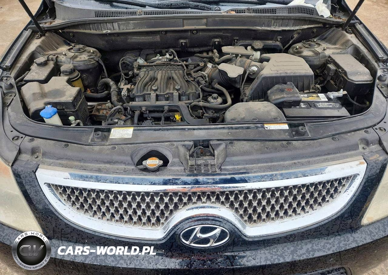 2011 Hyundai Veracruz Limited VIN:KM8NUDCC0BU163150 - 11