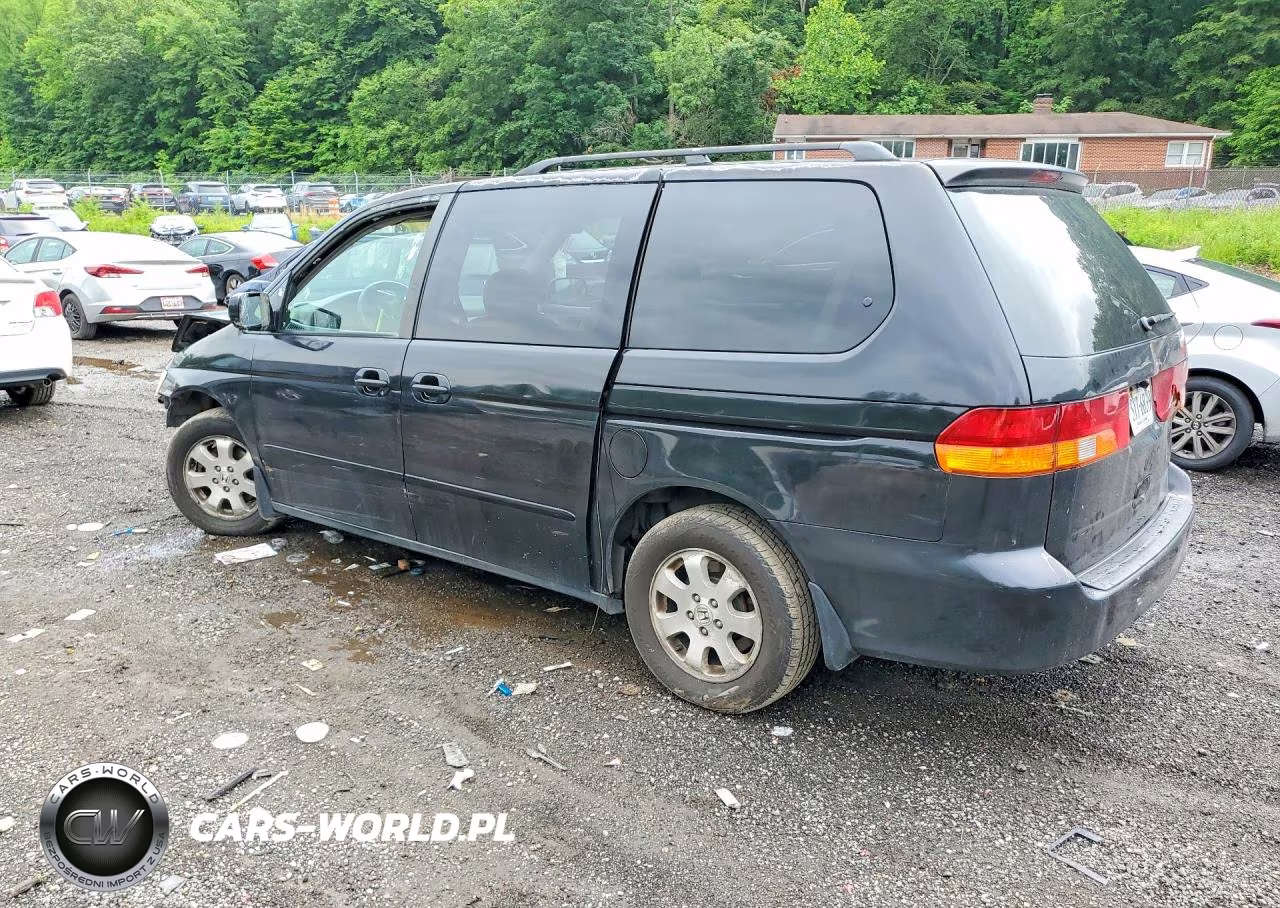 2003 Honda Odyssey Exl VIN:5FNRL18043B155097 - 2