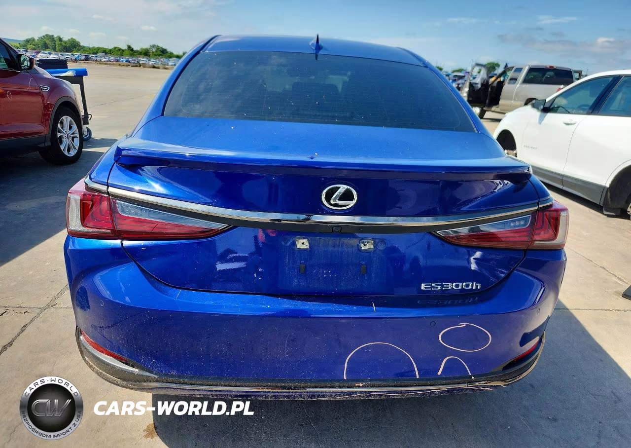 2024 Lexus Es 300H F Sport Handling VIN:58ABA1C12RU037769 - 6