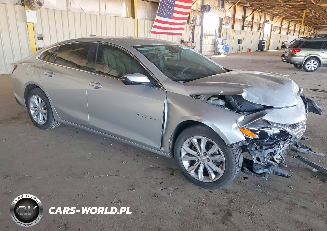 2019 Chevrolet Malibu Lt VIN:1G1ZD5ST0KF193971 - 4
