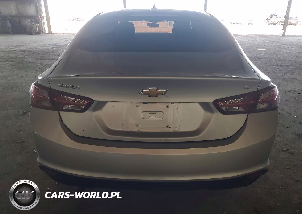 2019 Chevrolet Malibu Lt VIN:1G1ZD5ST0KF193971 - 6