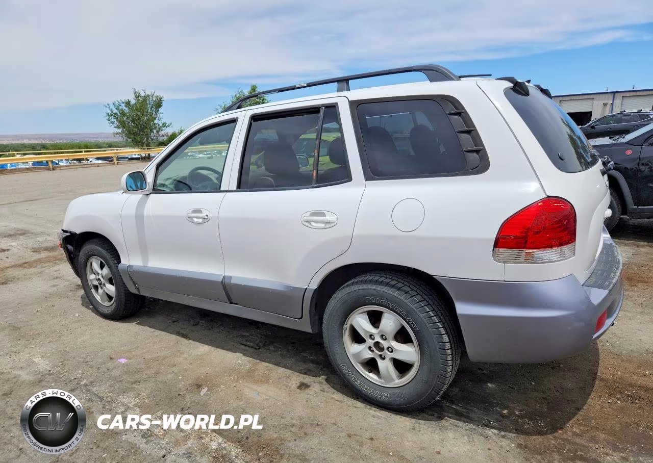 2005 Hyundai Santa Fe Gls VIN:KM8SC13E55U955188 - 2