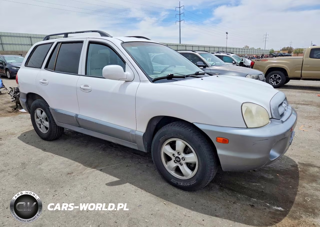 2005 Hyundai Santa Fe Gls VIN:KM8SC13E55U955188 - 4