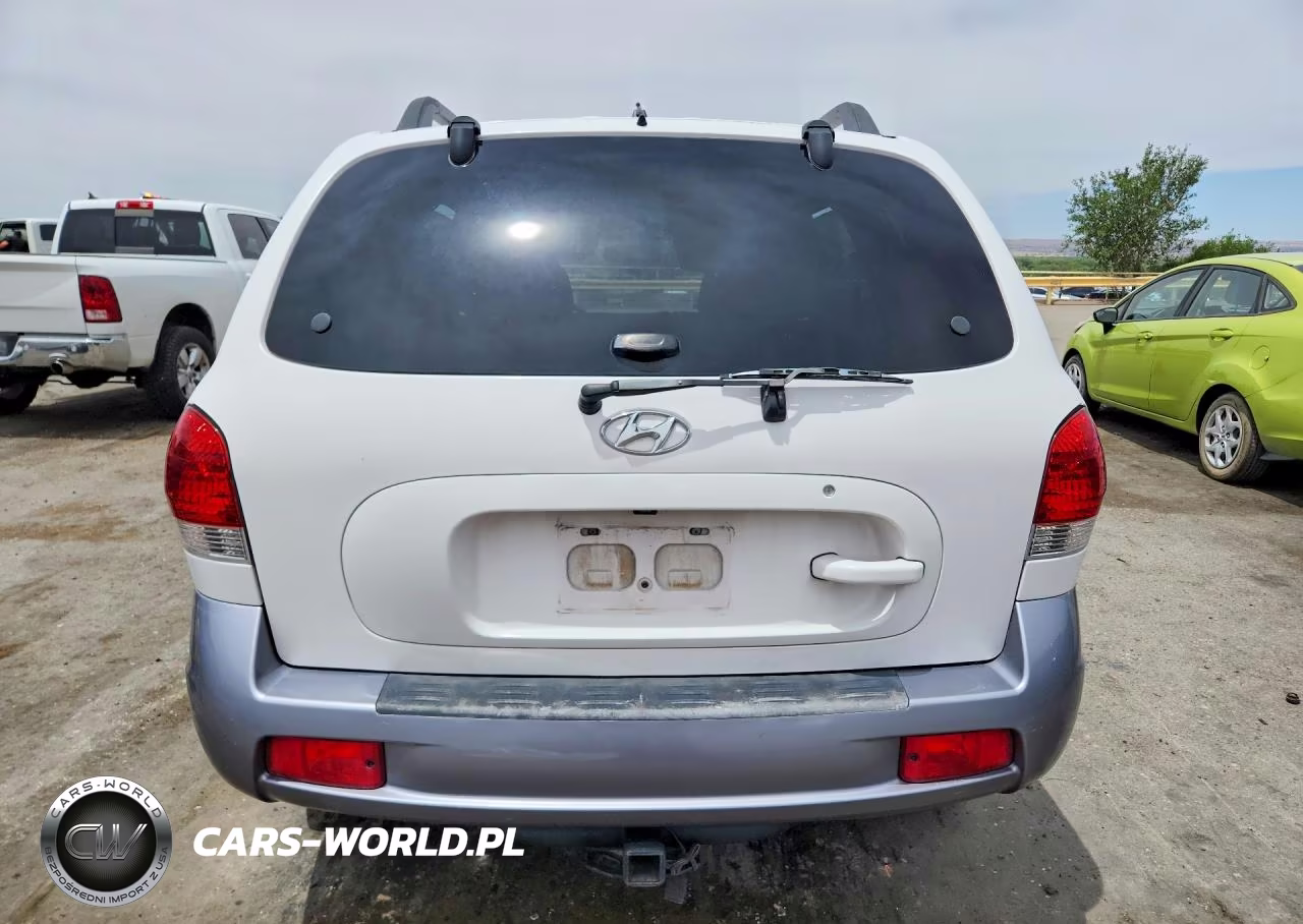 2005 Hyundai Santa Fe Gls VIN:KM8SC13E55U955188 - 6