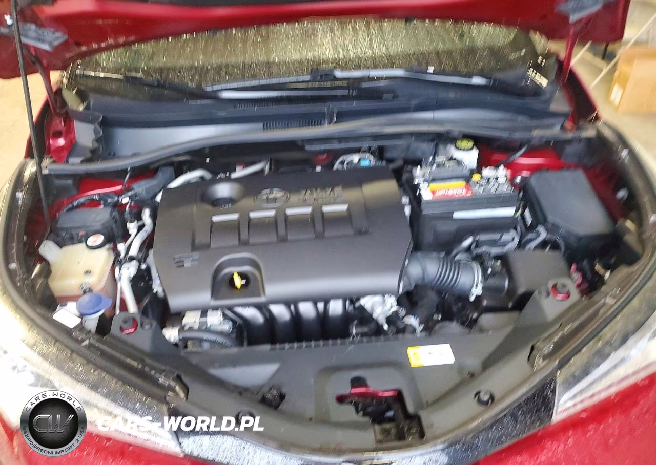 2019 Toyota C-Hr Limited VIN:NMTKHMBX3KR081545 - 12